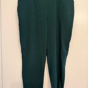 Susan Graver Deep Green Straight Leg Pants